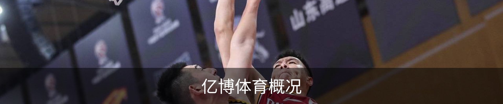 亿博体育概况